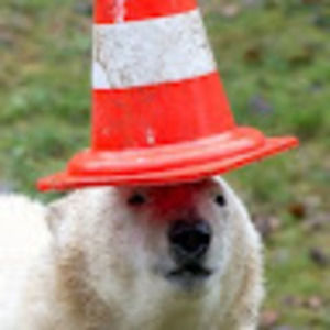 Meet your Posher, Peggysue